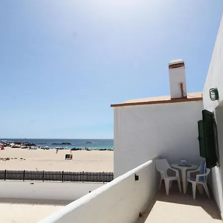 Loti * Cotillo